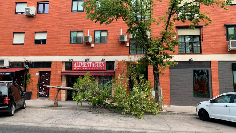 El viento tumba árboles en Leganés y reabren el debate sobre el plan de arbolado