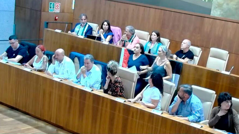 Una bandera de Palestina paraliza el Pleno de Leganés