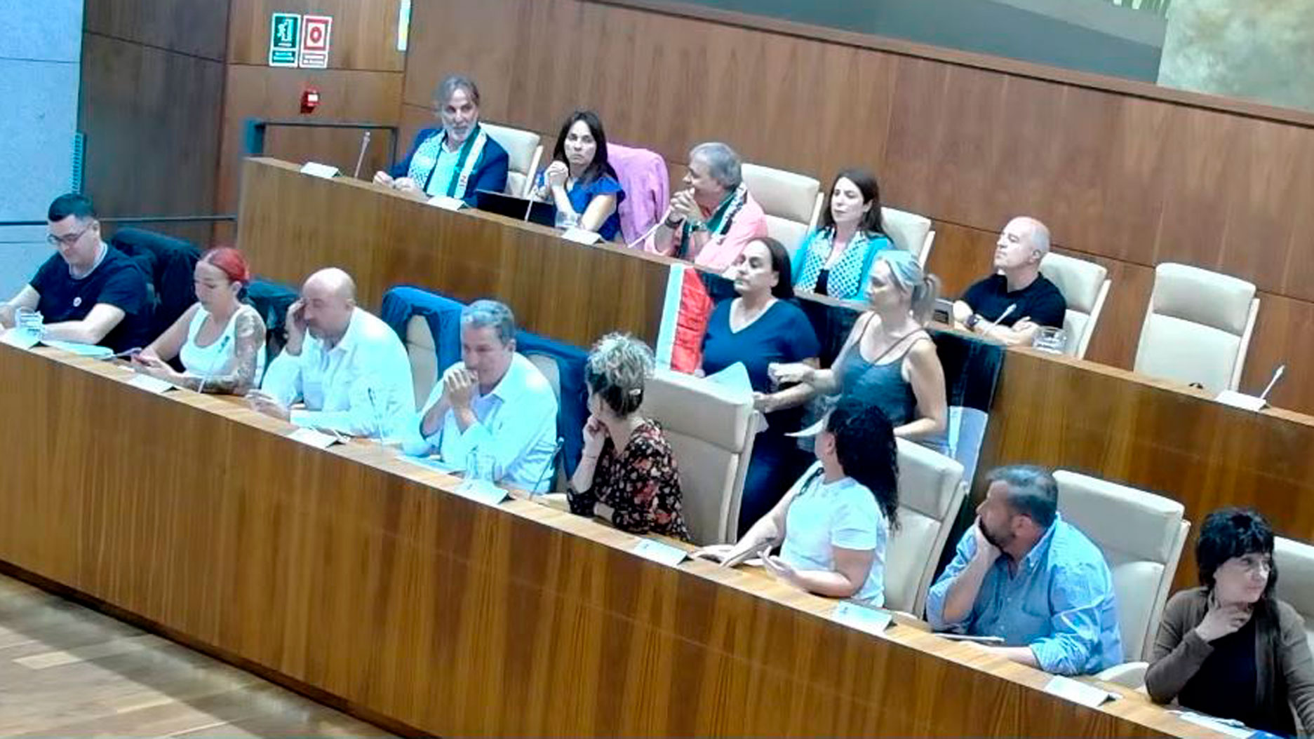 bandera palestina leganes podemos-iu-av vox