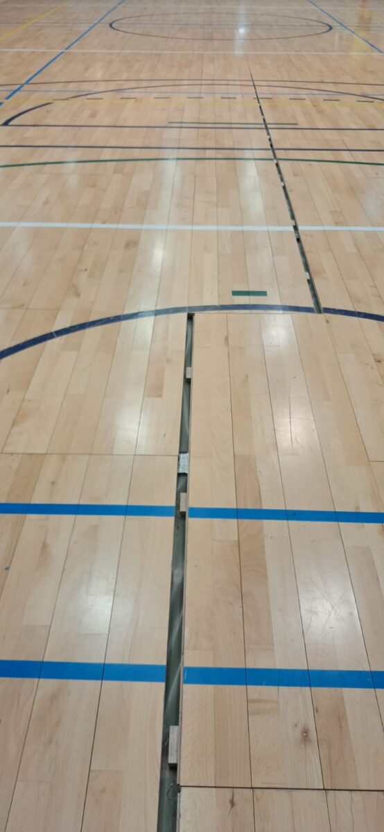 Pabellón Europa. Foto: PSOE LEganés