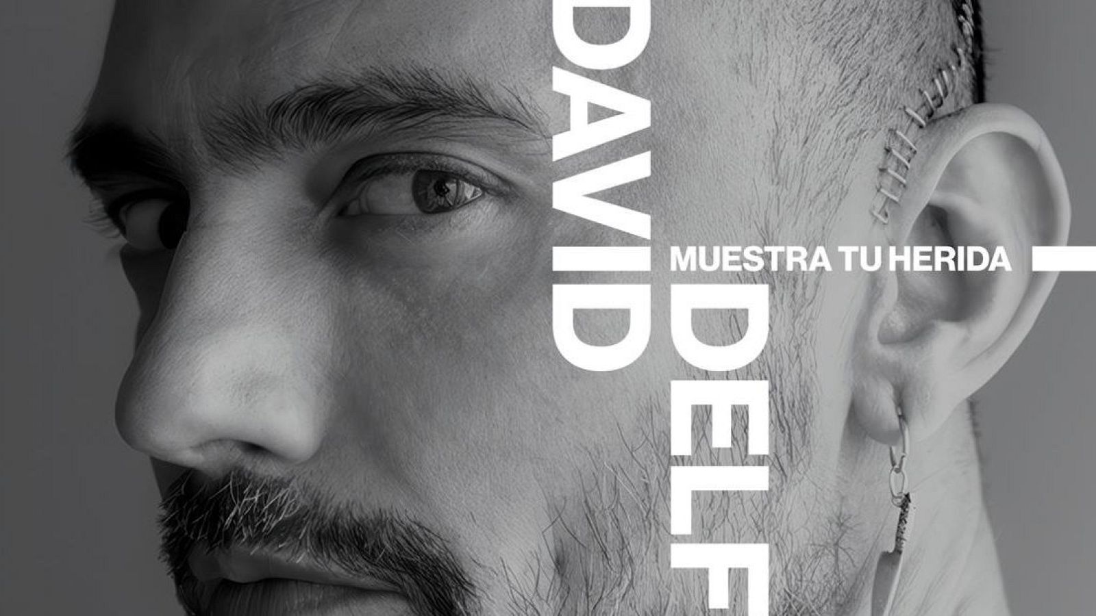 David Delfin película