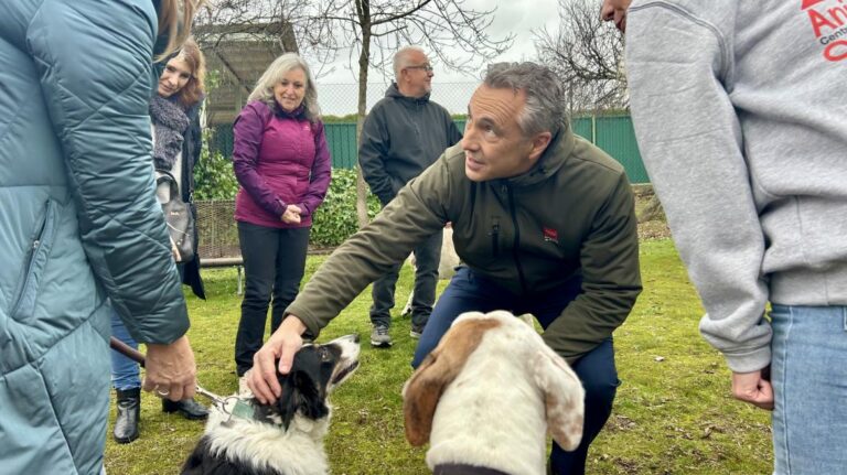 Guía rápida de MASCOMAD en Leganés: todo para tu mascota en una app