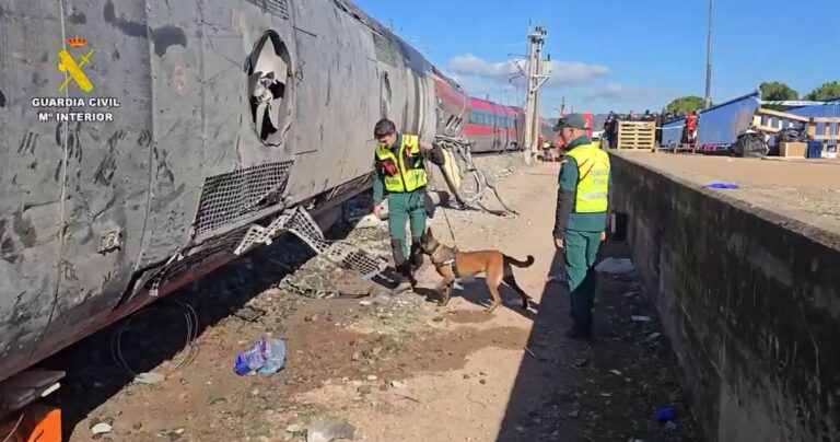 Localizado sin vida Agustín Fadón, tripulante del Alvia accidentado en Adamuz y vecino de Leganés