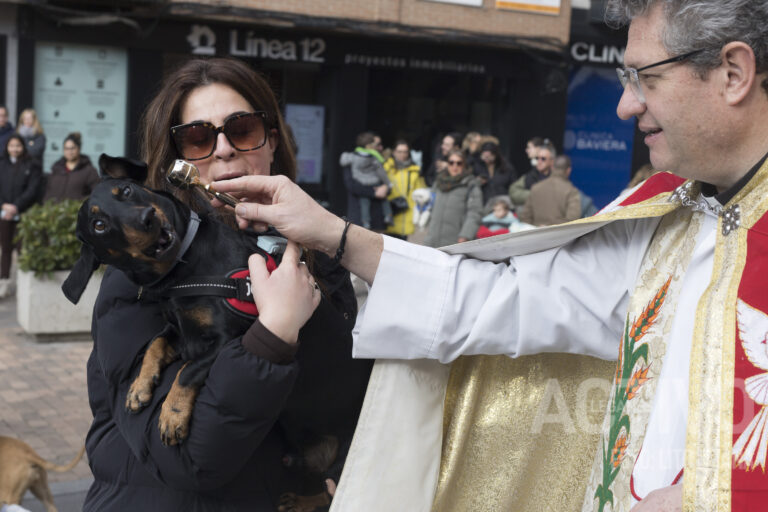 Las imágenes más divertidas que nos ha dejado San Antón 2026 en Leganés