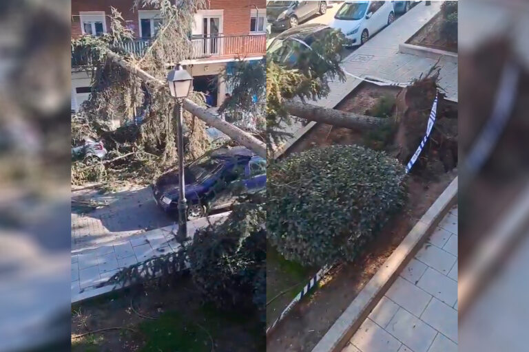 Así ha afectado la borrasca Leonardo a Leganés: árbol partido y susto entre los vecinos