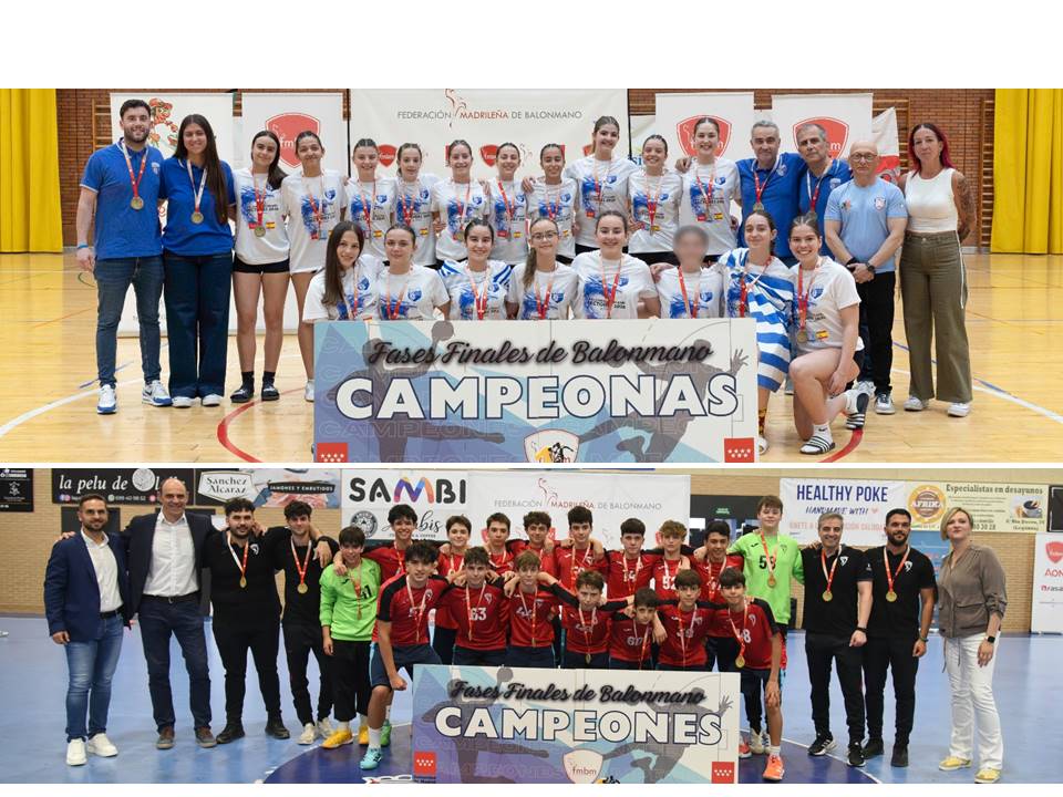 fases infantiles balonmano autonomico