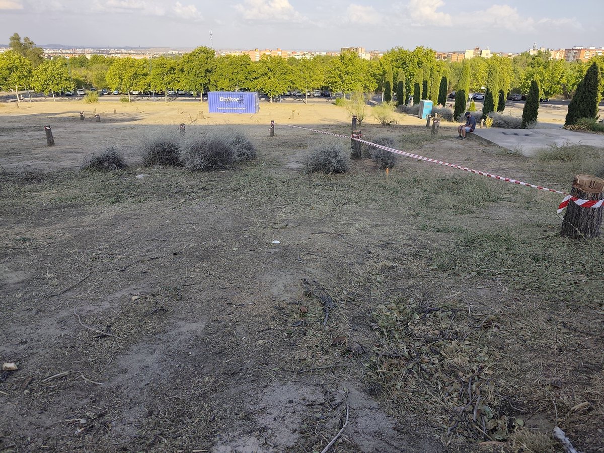 arboles estadio butarque leganes