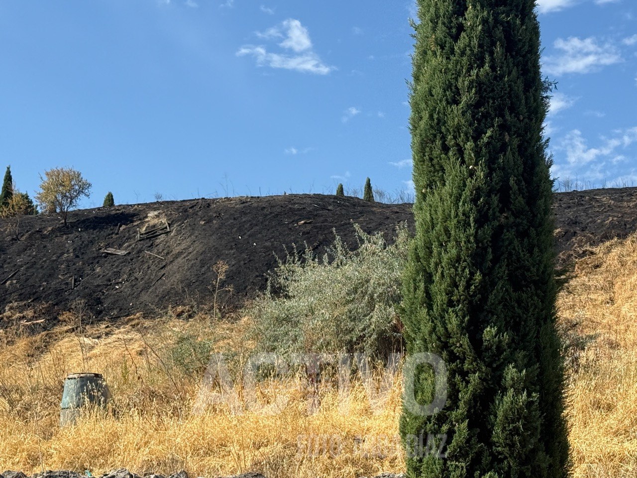 incendio pradera leganes cementerio