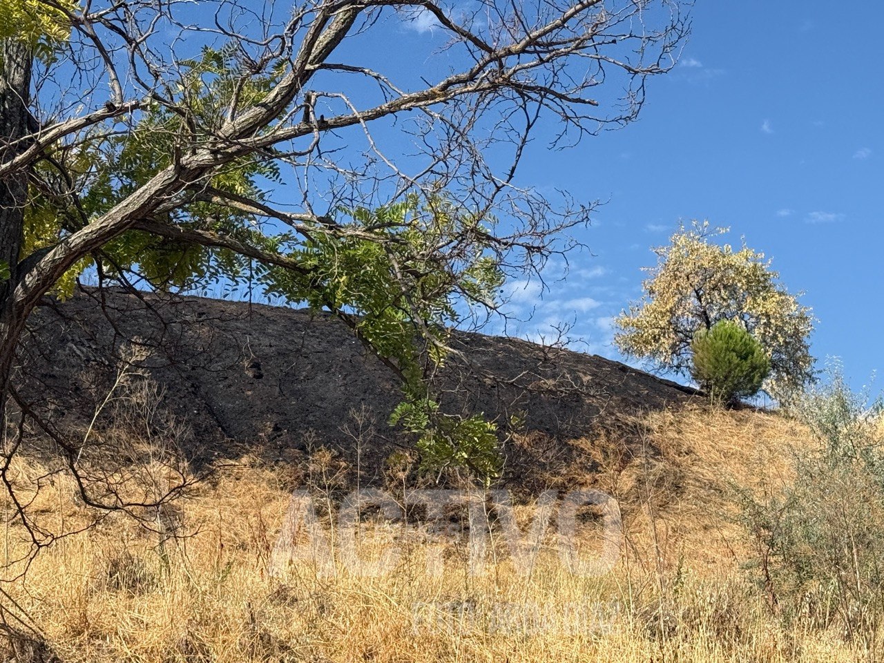 incendio pradera leganes cementerio
